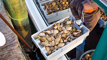 Fishermen loading