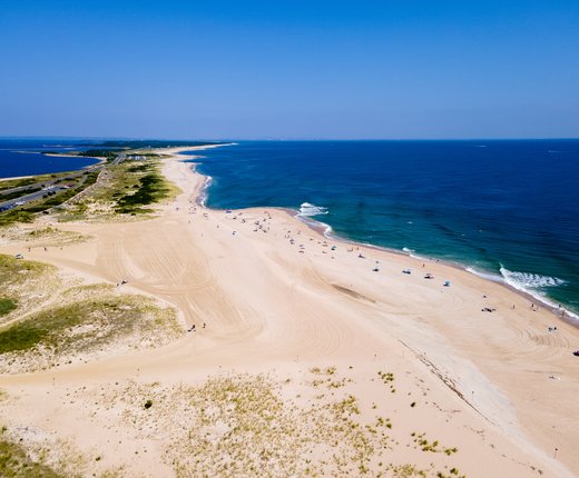 Introducing the Conservation Theme