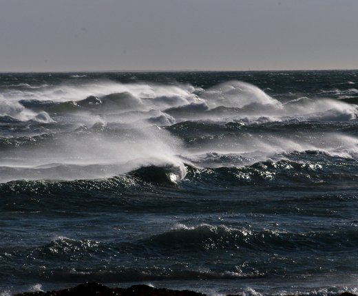 Map Indicates Wave Heights and Directions Along East Coast