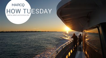 Video Rewind: AIS Vessel Traffic Data Webinar