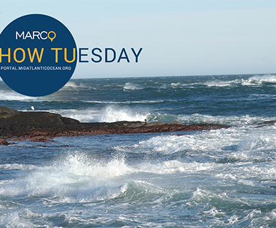 Video Rewind: MARACOOS Data Webinar