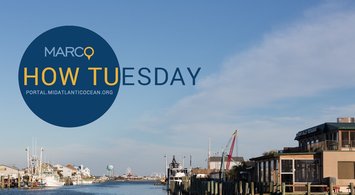 Video Rewind: How Tu Use Marine Planner's Tools