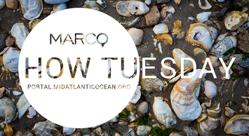 Watch: Coastal and Ocean Acidification Data Webinar