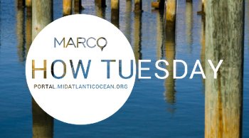 Video: June Intro to the Portal Webinar