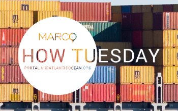 Discover tips and tricks with How Tuesday webinars