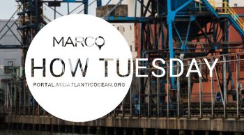 Video Rewind: January 2018 How Tuesday