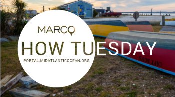 Video Rewind: June 2019 How Tuesday