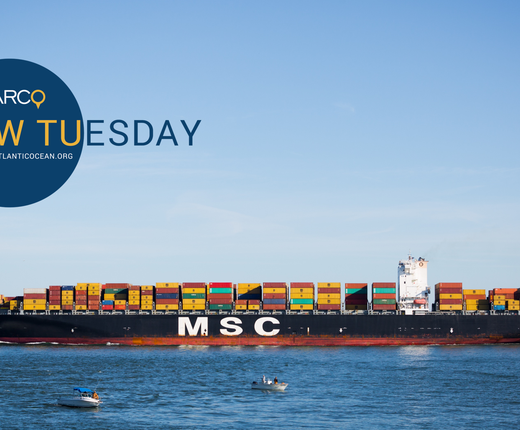 Video Rewind: NJ/Del. Bay PARS and Cape Fear Anchorage Webinar