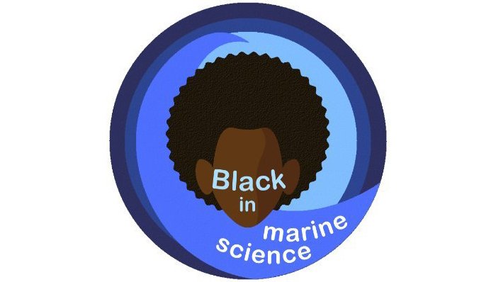 BIMS logo