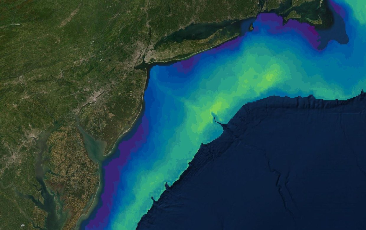all biomass spring.JPG