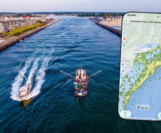 Webinar Offers Tutorials on MARCO Portal and MyCoast Mobile Apps