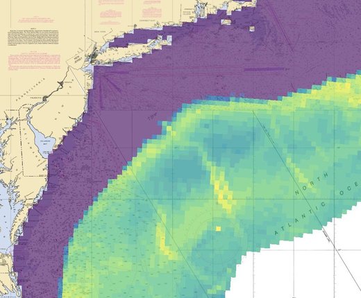 Video Rewind: Marine Life Mapping Webinar