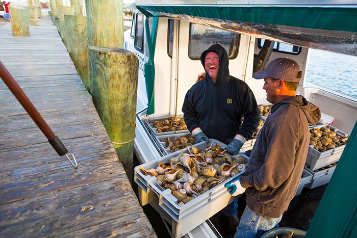 dock workers