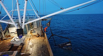 Portal Adds, Reorganizes Fishing Management Areas Maps