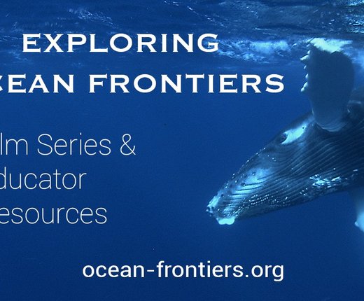 Free Portal Exercises Available for Educators