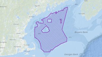 gulf of maine call