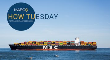 Watch: Intro to the Portal Webinar