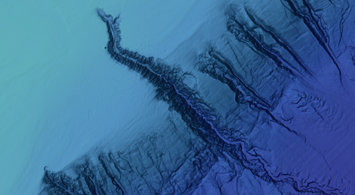 Watch: Explore the Hudson Canyon with the Portal