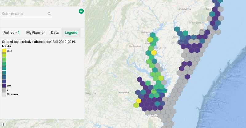 A map showing fall striped bass abundance in the Chesapeake Bay area.