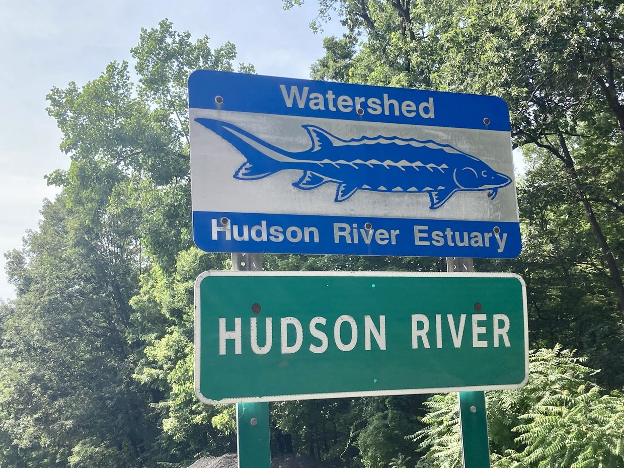 sturgeon road sign