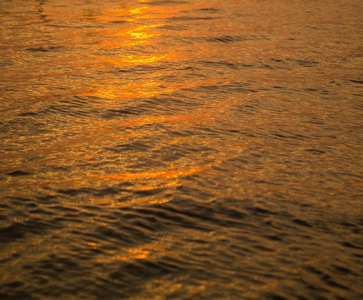 Marine Heatwaves and Highly Migratory Species Hotspots of Change