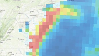 loggerhead map