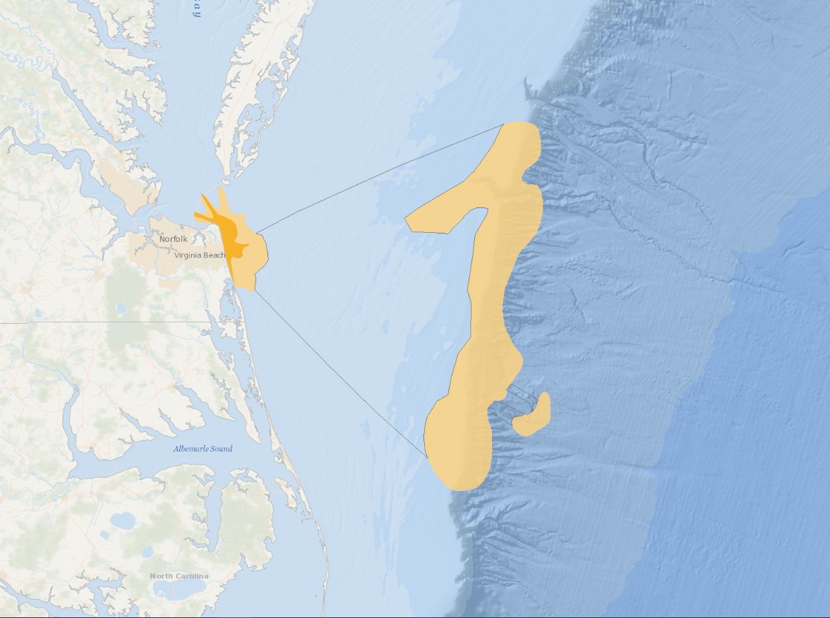 whale watch areas
